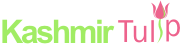 Kashmir Tourism